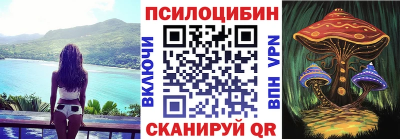 дарнет шоп  Красновишерск  Галлюциногенные грибы мицелий 